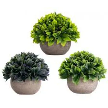 Attractive Artificial Plants